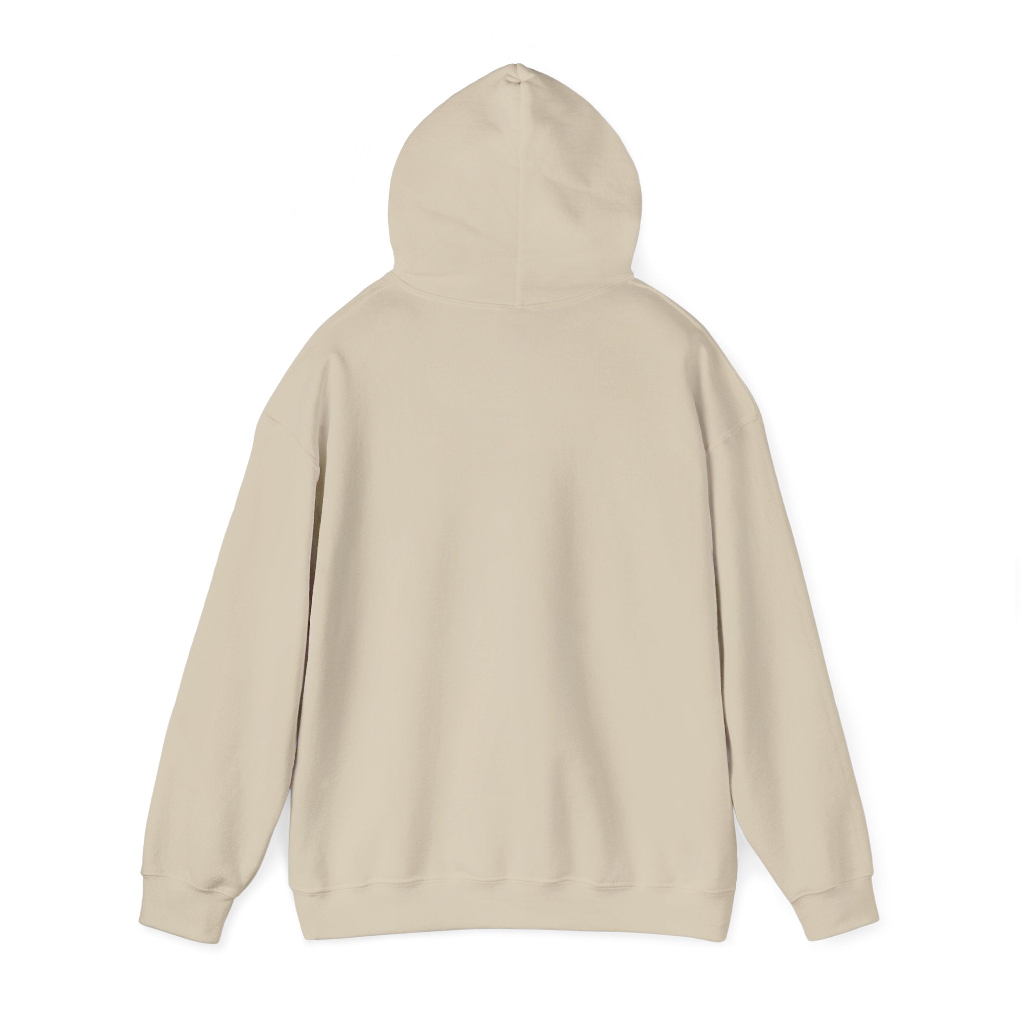 "THREE SIX FIVE"  Performance Hoodie