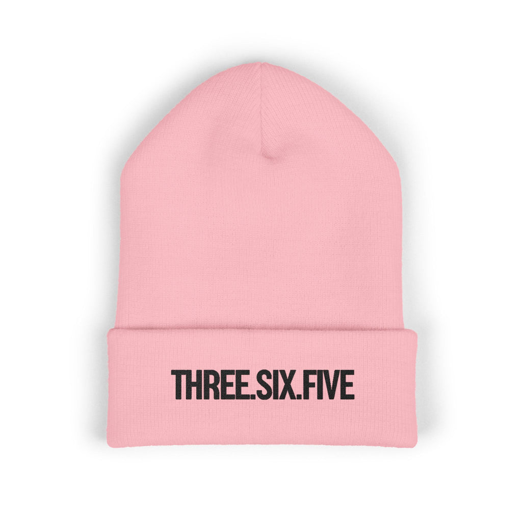 Three.Six.Five Embroidered Cuffed Beanie