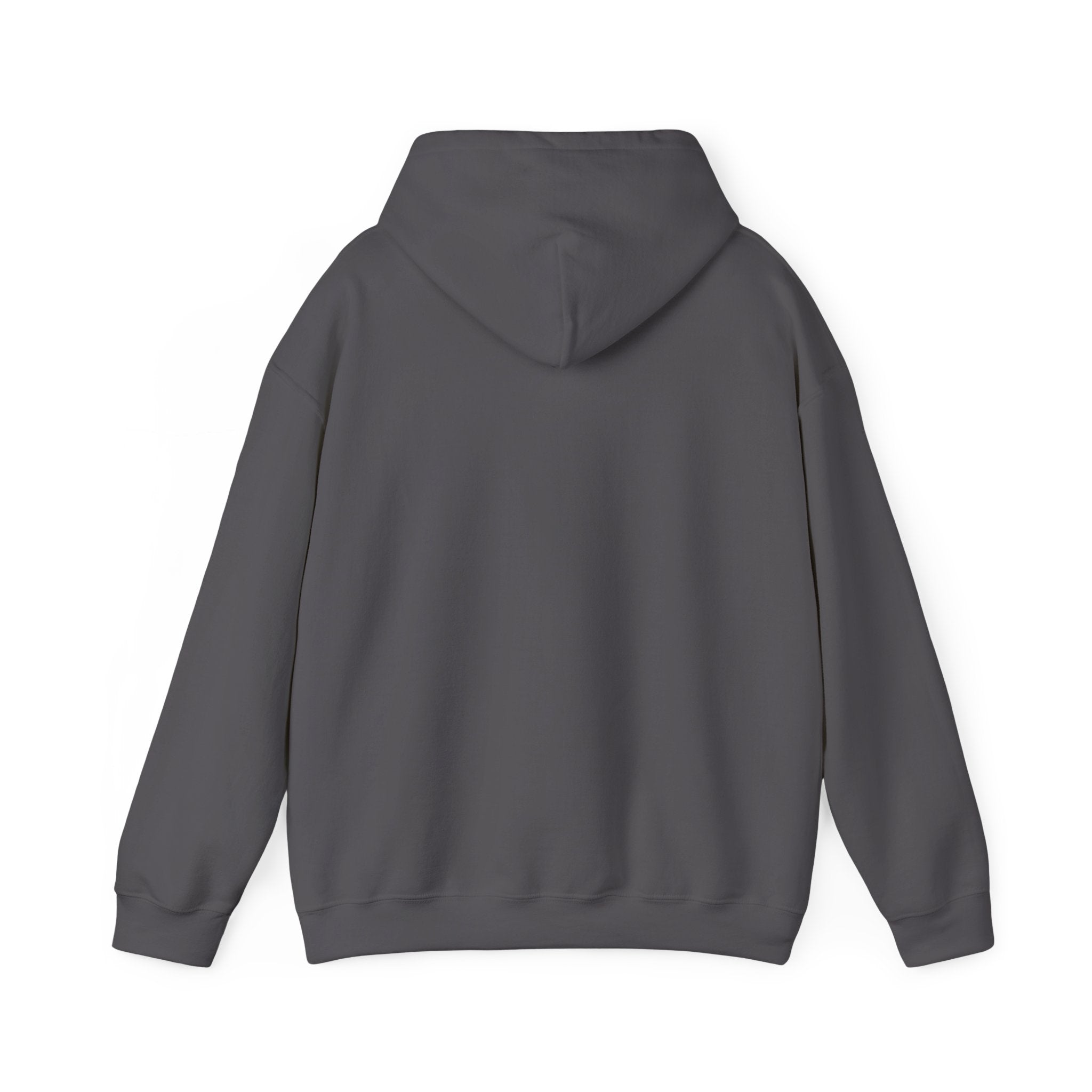 SUPERHERO Performance Hoodie