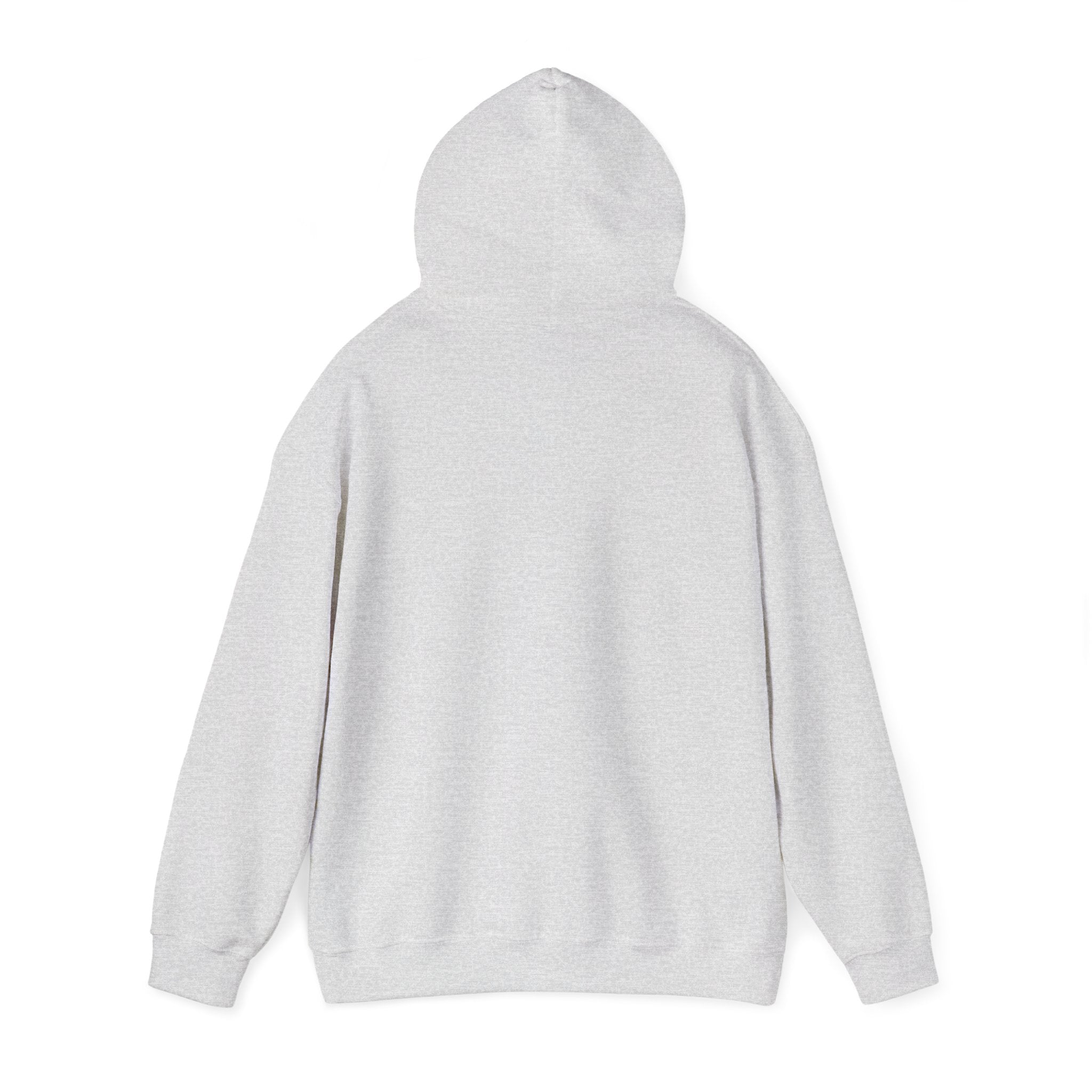 "THREE SIX FIVE"  Performance Hoodie