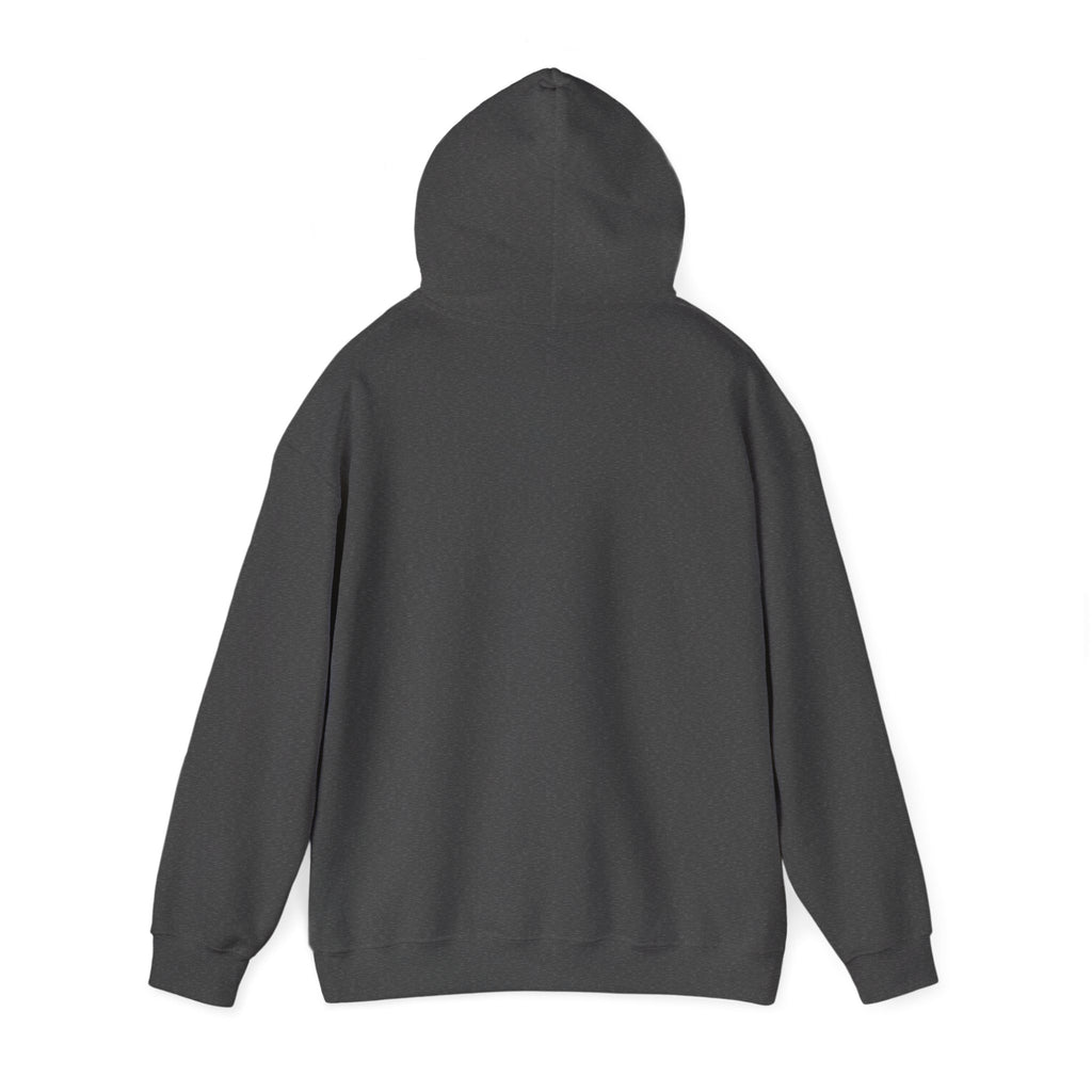 SUPERHERO Performance Hoodie